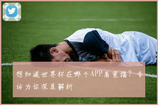 想知道世界杯在哪个APP看重播？专访为你深度解析