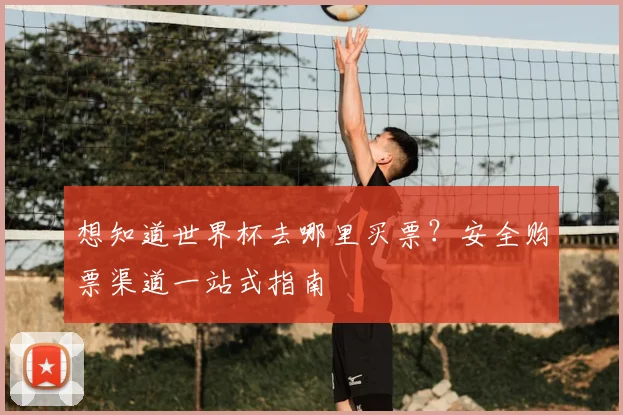 想知道世界杯去哪里买票？安全购票渠道一站式指南