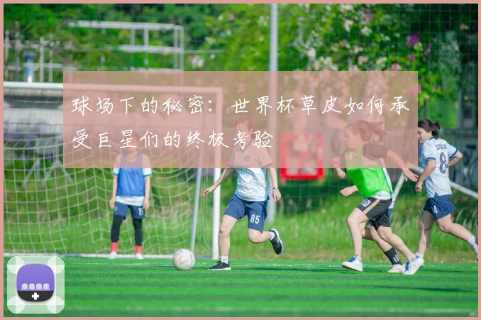 球场下的秘密：世界杯草皮如何承受巨星们的终极考验