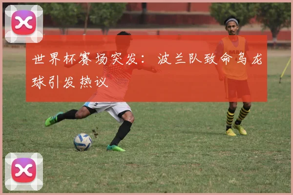 世界杯赛场突发:波兰队致命乌龙球引发热议