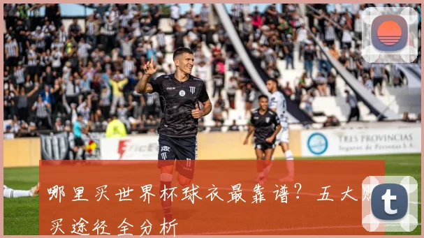 哪里买世界杯球衣最靠谱？五大购买途径全分析