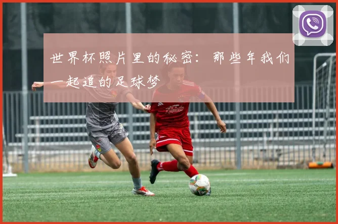 世界杯照片里的秘密：那些年我们一起追的足球梦