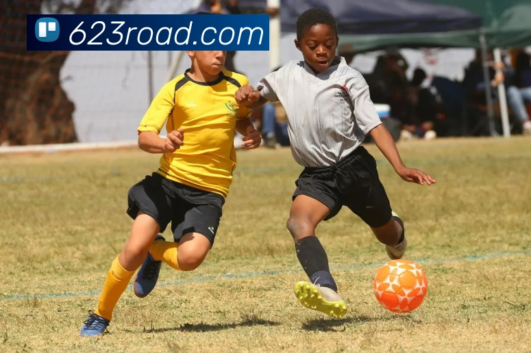 葡萄牙男足公布新一期大名单C罗领衔阵容备战欧洲杯预选赛